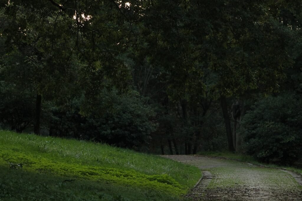 Güncel Giriş Adresini Nasıl Takip Ederim