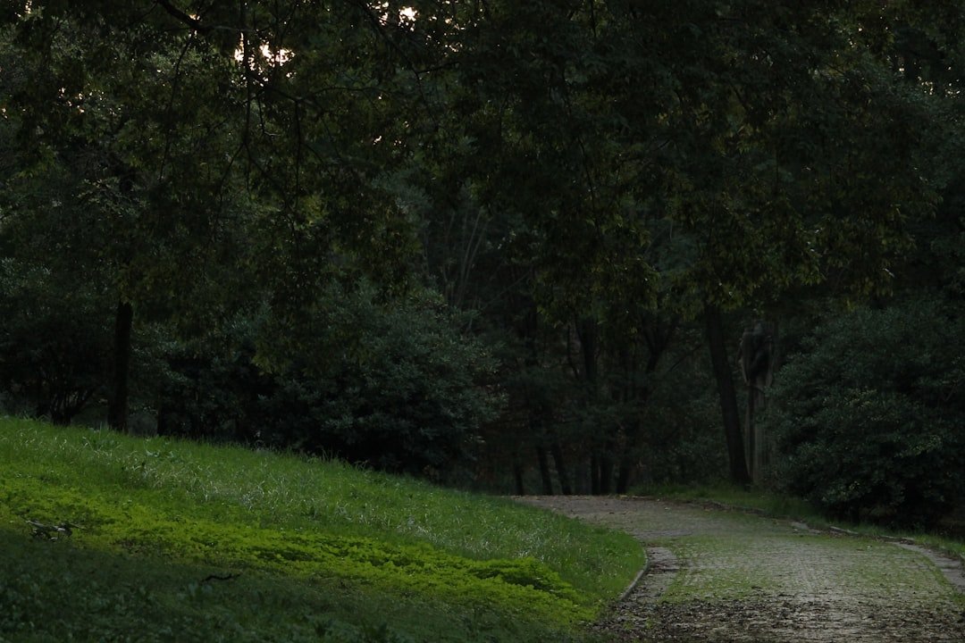 Güncel Giriş Adresini Nasıl Takip Ederim